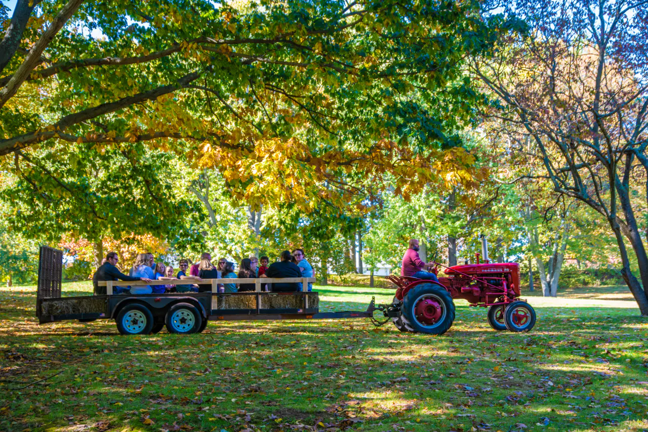 Families riding through Boothe Park on a festival hayride