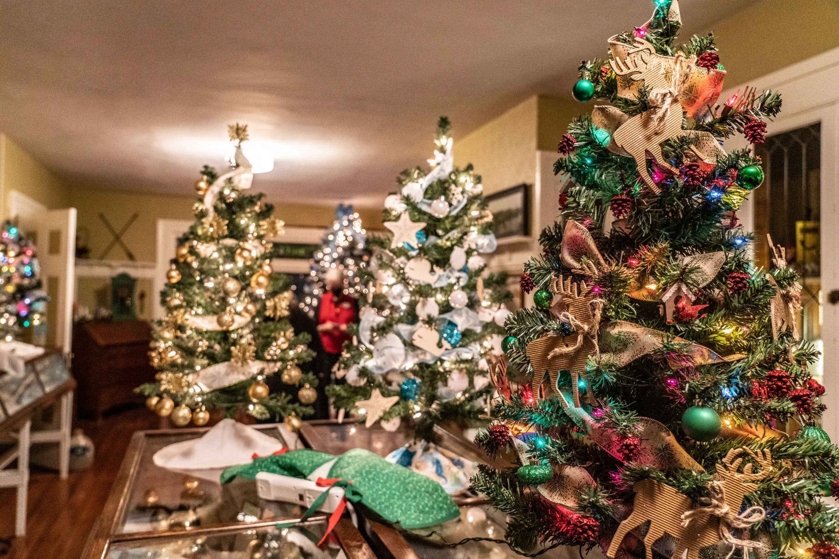 Decorated Christmas trees arranged for the Holiday at the Homestead silent auction