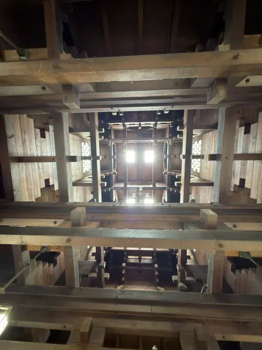 Interlocking redwood beams viewed from inside the Redwood Building