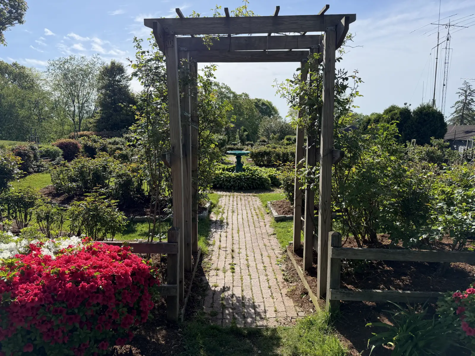 Wooden rose arbor framing a brick path toward the garden fountain
