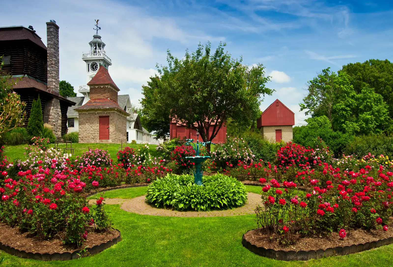 Rose Garden in bloom around the cast iron fountain with the Clocktower and museum buildings beyond