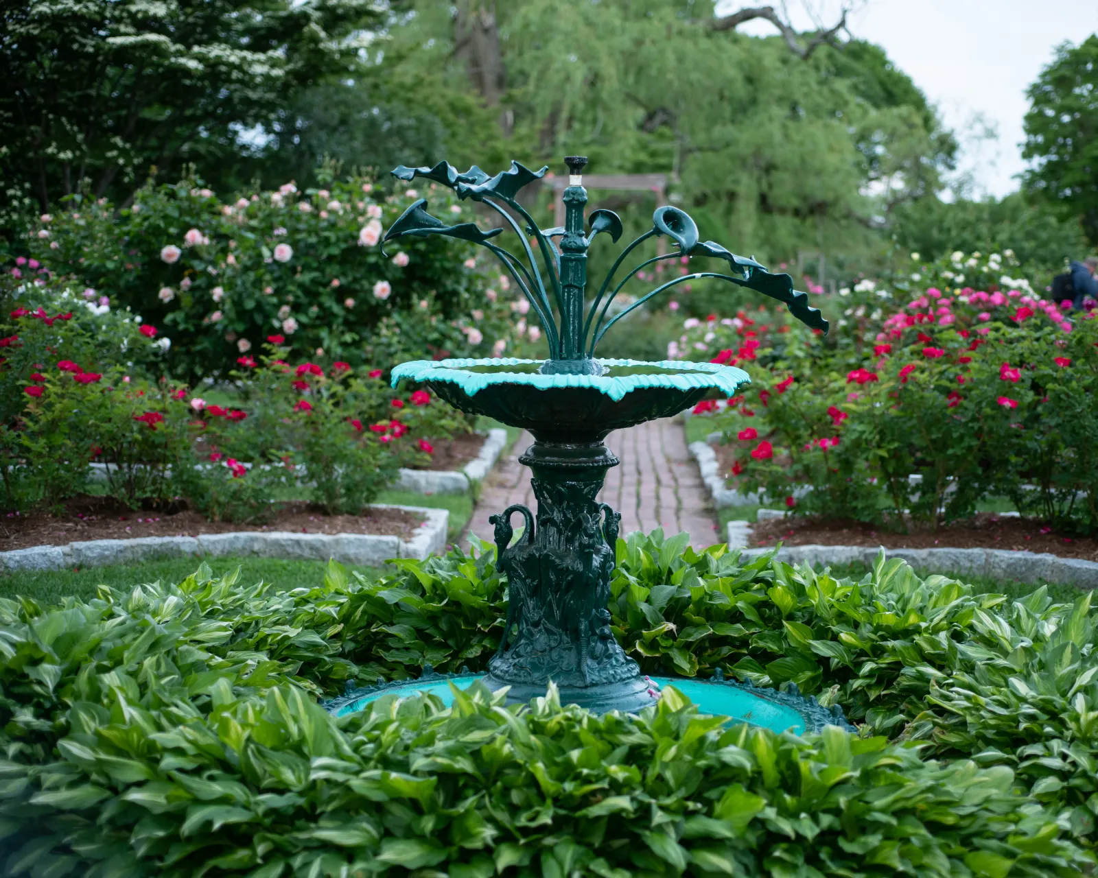 Restored cast iron fountain centered among the Rose Garden beds